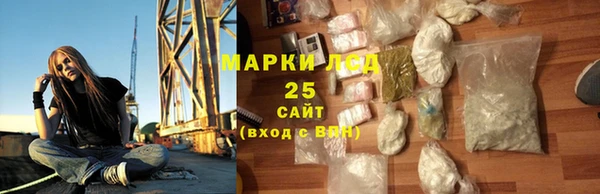 прущие грибы Алексин