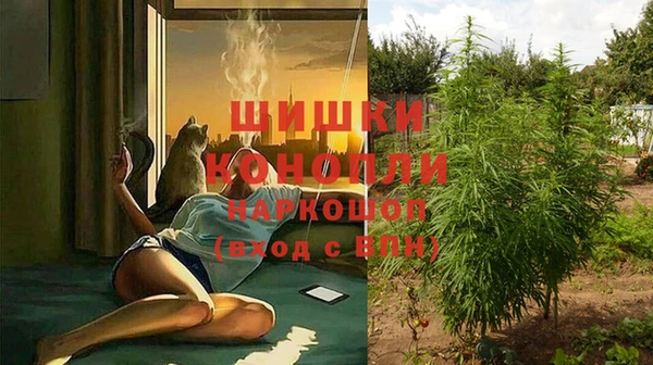 соль ск Абдулино