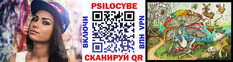 Псилоцибиновые грибы MAGIC MUSHROOMS  Дятьково 